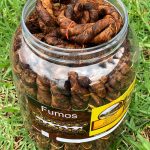 63d94fe0223d2e0592b5877e 750x1000.jpeg